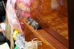 DSC06892.JPG