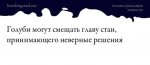 297623136_789104562528258_1099341915013535201_n.jpg