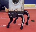1660767932157.png