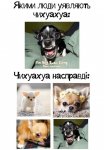 7F8E3133-DEEF-42A1-A9B1-0B509865EDBC.jpeg