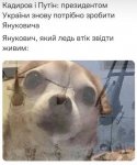 944E6E70-6149-4376-83E5-674752B20D30.jpeg