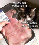 1667053069439.png