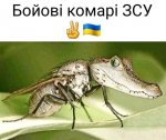 ком.jpg