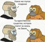 1667678355890.jpeg
