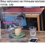 1667684213357.jpeg