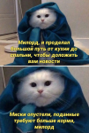 1668201311860.png