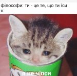 239142AC-8C9C-445D-B0AB-BB15C0527801.jpeg