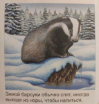 1669713035300.png