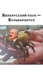 02E431EC-A366-4732-A6A4-372371552E32.png