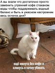 1676012066641.png