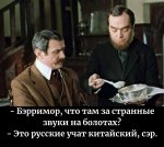 кит.jpg
