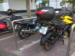 IMG_20230513_101058.jpg