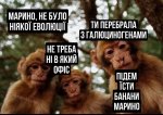 IMG_1096.jpeg