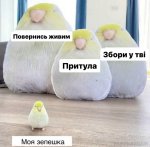 IMG_1971.jpeg