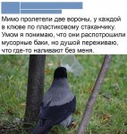 IMG_3390.jpeg