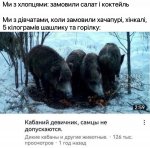 IMG_3393.jpeg