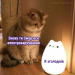 IMG_6852.jpeg