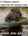 IMG_6853.jpeg