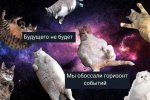 IMG_6854.jpeg