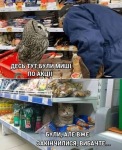 1699548419540.png