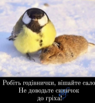 1702060423758.png