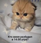IMG_5573.jpeg