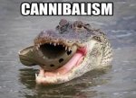 IMG_5572.jpeg