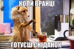 IMG_5536.jpeg
