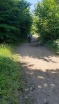 20250803_115310.jpg