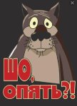 Шо опять.jpg