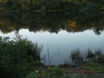 DSCF5506.JPG