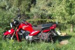 DSCF2839.JPG