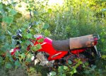 DSCF2901.JPG