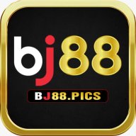 Bj88pics1
