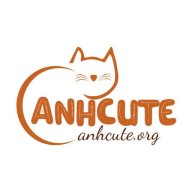 anhcuteorg