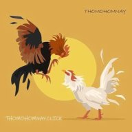 thomohomnayclick
