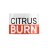 financecitrusburn
